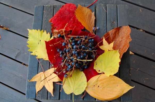 dc131105-見晴らし峠 (10)