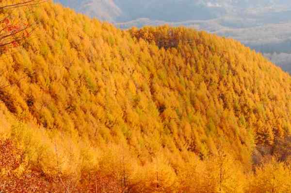 dc131105-見晴らし峠 (5)