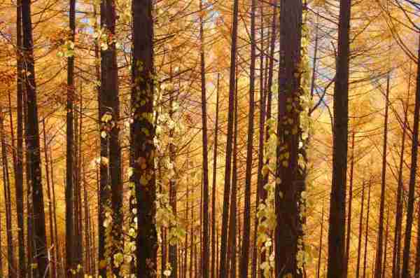 dc131105-見晴らし峠 (9)