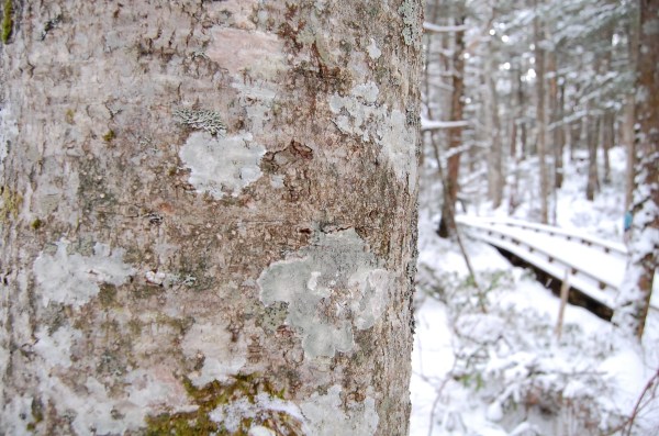 dc131121-seth教室13