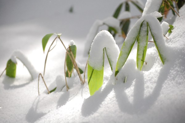 dc131121-seth教室5