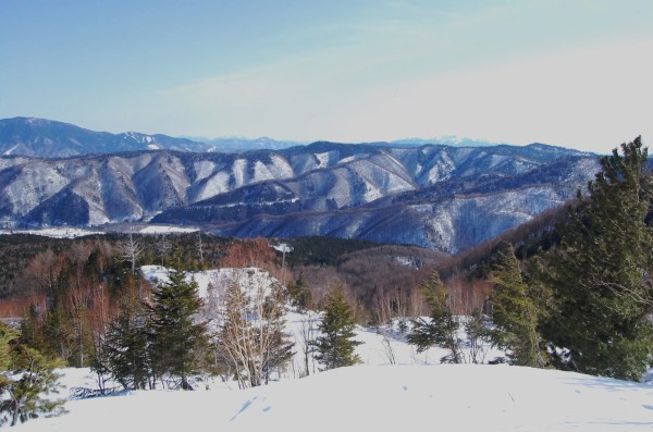 dc140207-kamoshika (4)