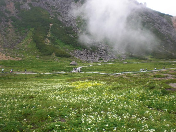 dc110725-ohanabatake