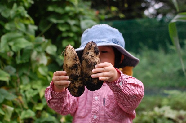 dc150827-jyagaimo (3)