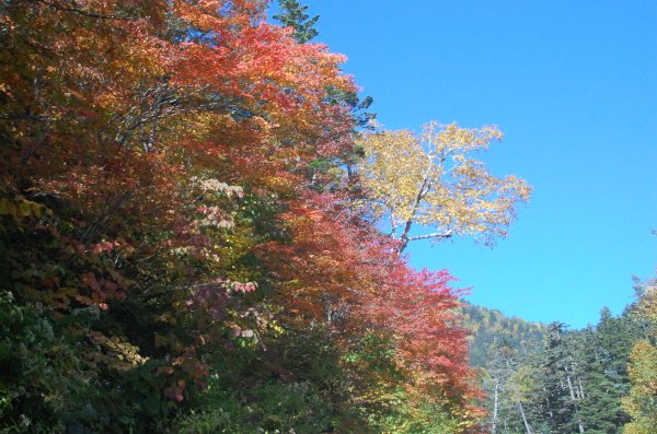 dc150928-三本滝上