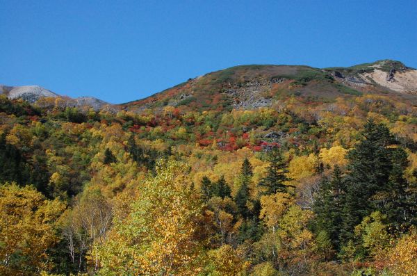 dc150928-位から屋根板