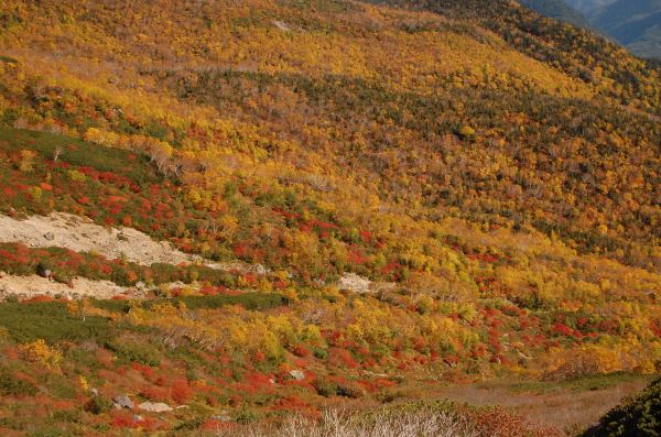 dc150928-富士見沢