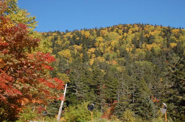 dc150928-摩利支天上