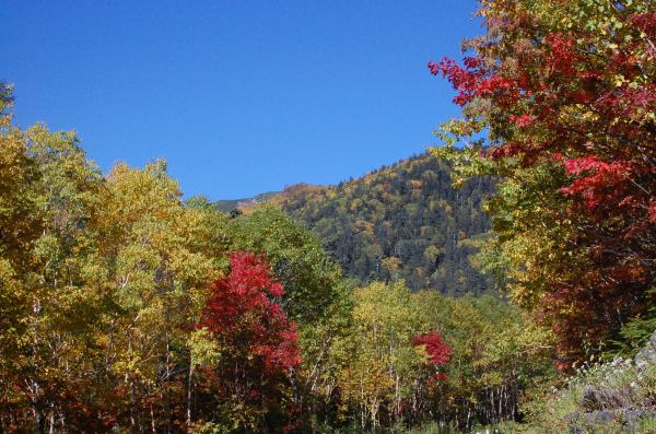 dc150928-摩利支天下