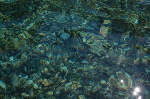 dc151007-taisyoike (2)