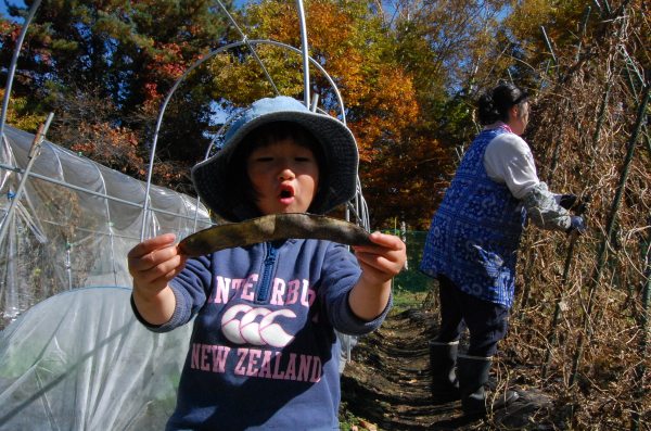 dc151020-hanamame (2)