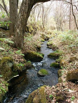 dc160427-chidoriike shita