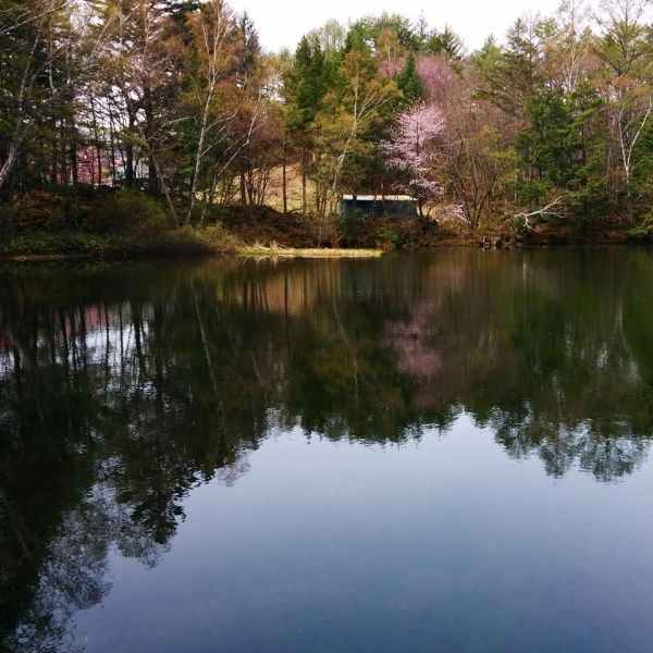 dc160427-chidoriike2