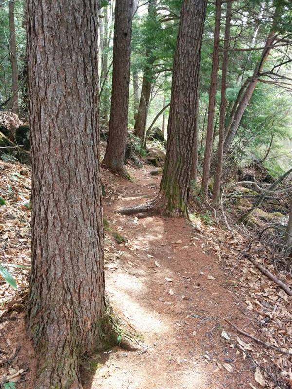 dc160427-chidoriike3