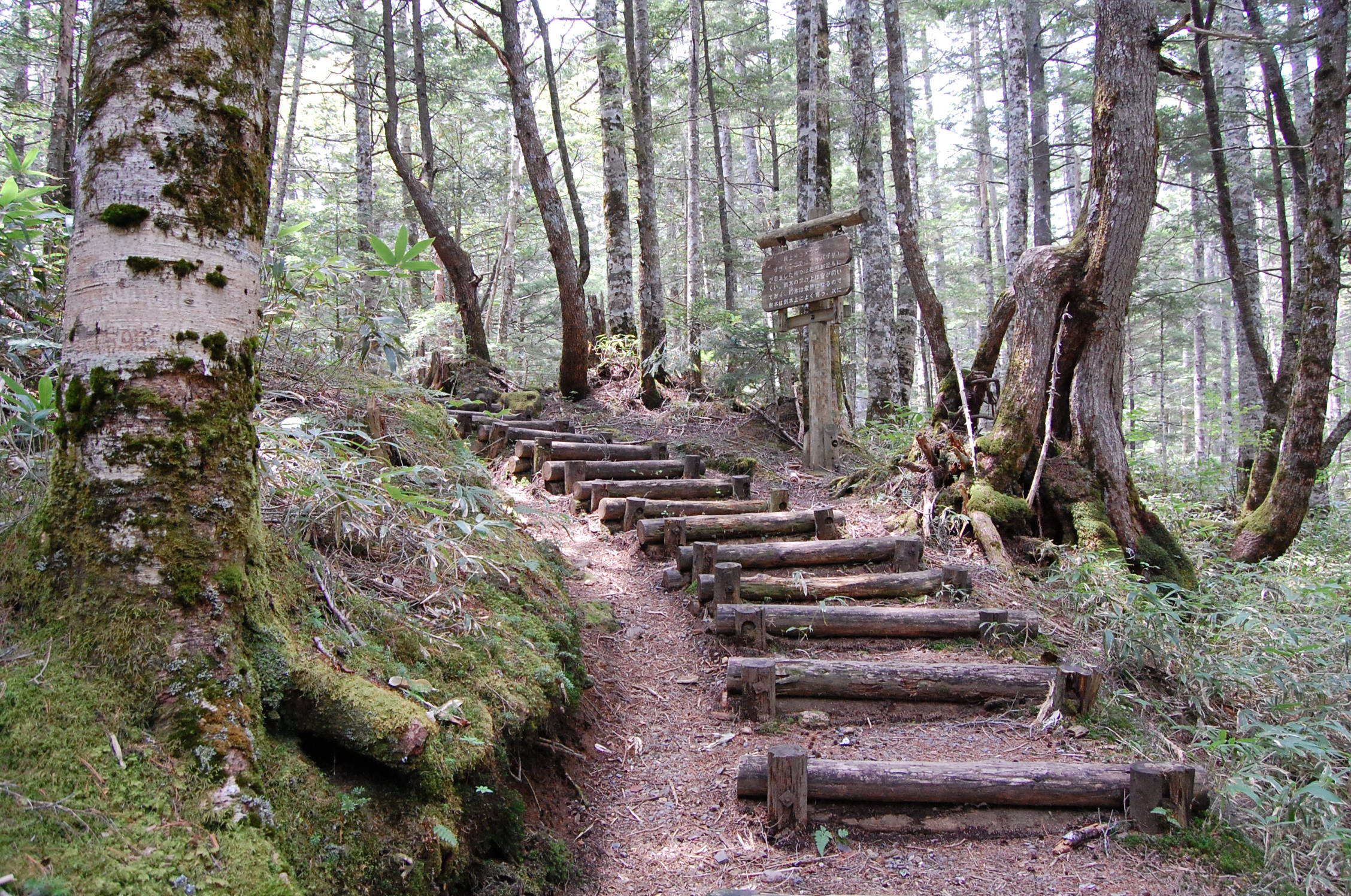 dc160520-toudaihyutte