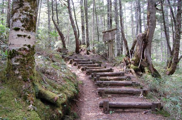 dc160520-toudaihyutte