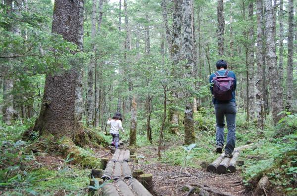 dc160612-mifpapa7 (2)