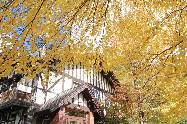 dc161019-alumkatsura