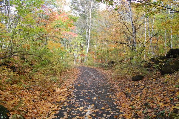 dc161019-cycringrode