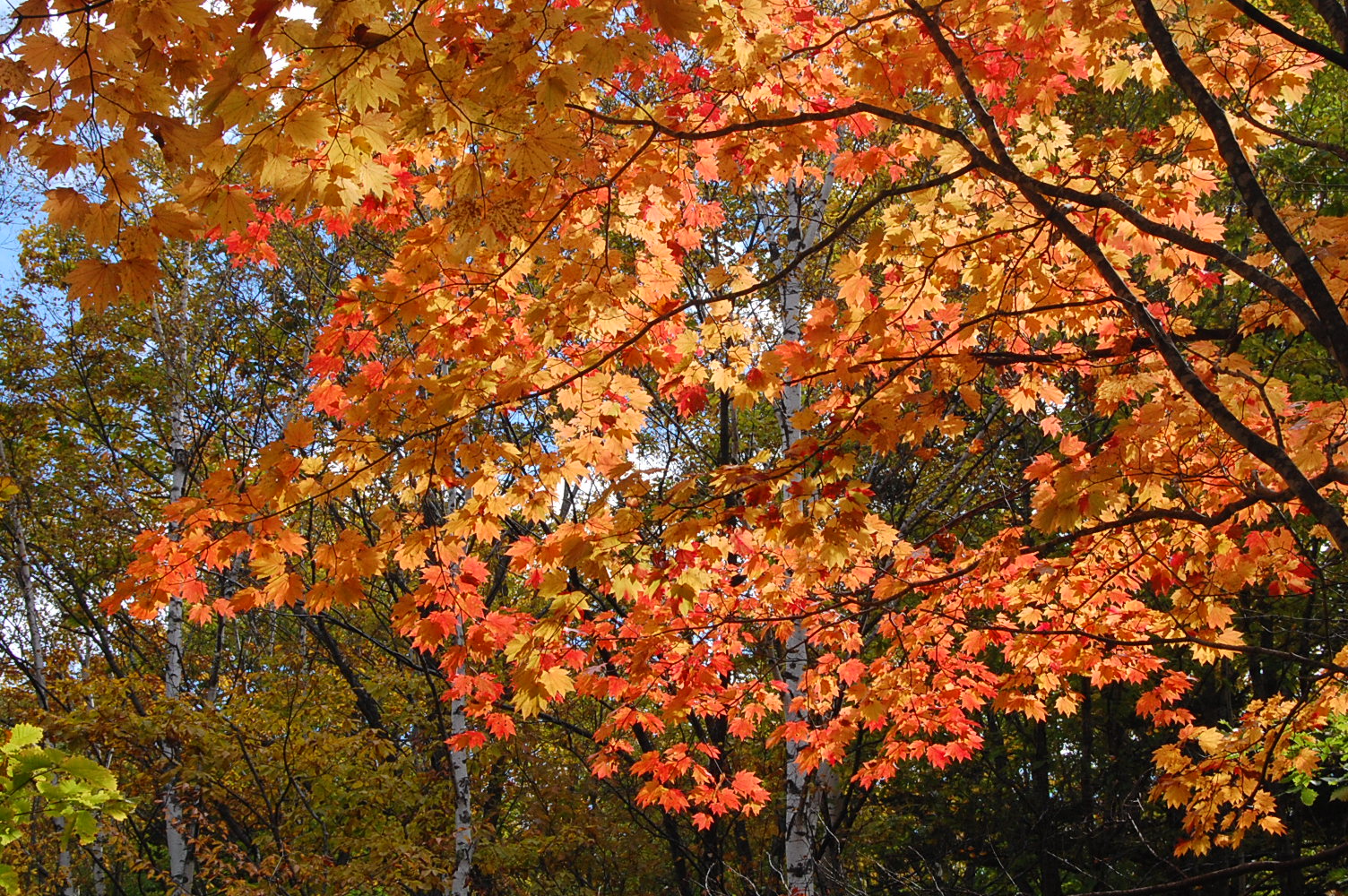 dc161019-cycringrode3