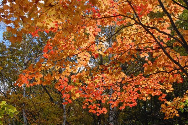 dc161019-cycringrode3