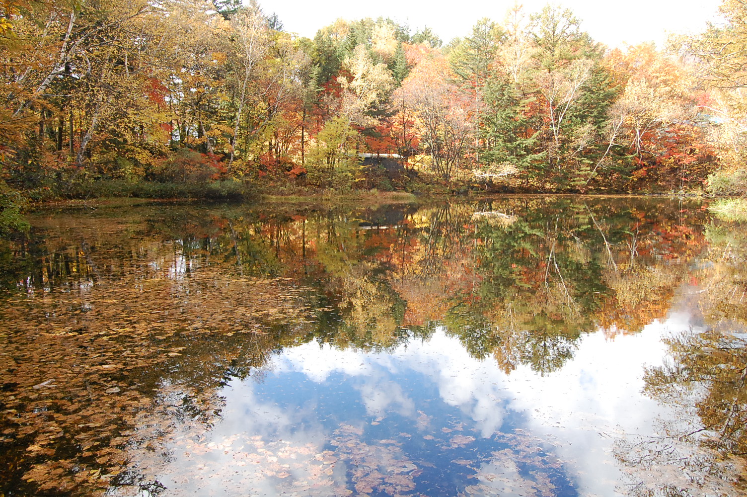 dc181027-chidori3 (2)