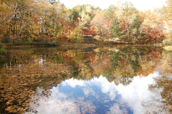 dc181027-chidori3 (2)