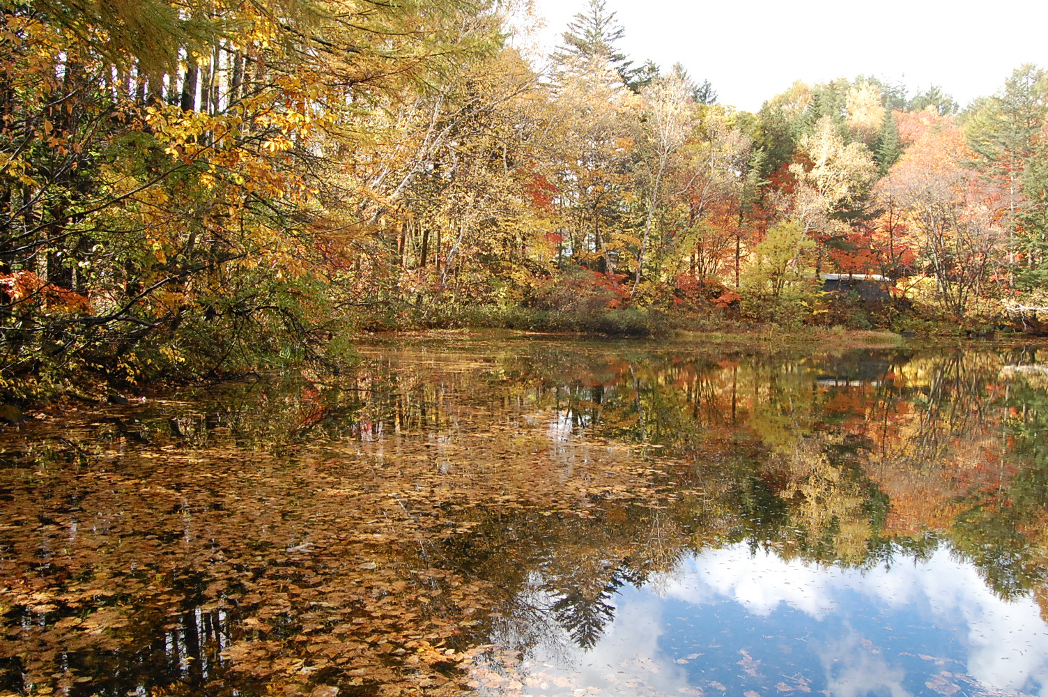 dc181027-chidori4 (2)