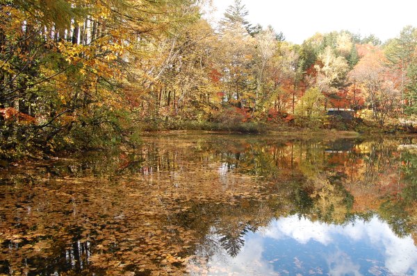 dc181027-chidori4 (2)