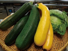 自家菜園の採れたて野菜