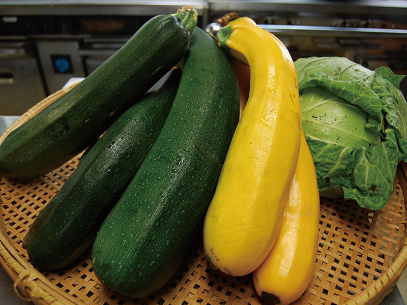 自家菜園の採れたて野菜