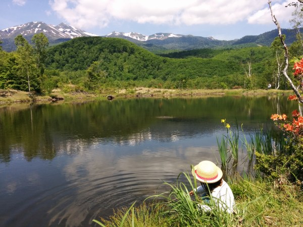 IMG_20160611_095140 (1)